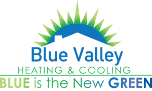 Blue Valley Energy LLC